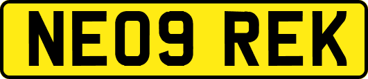 NE09REK