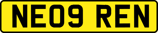 NE09REN