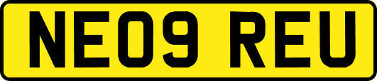 NE09REU