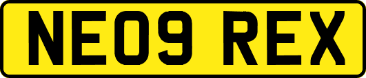 NE09REX