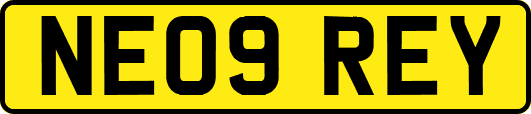 NE09REY