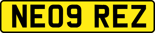 NE09REZ