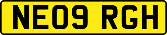 NE09RGH