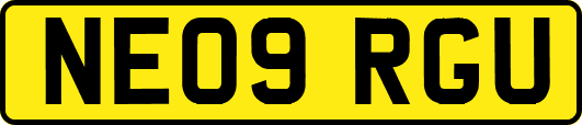 NE09RGU