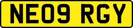 NE09RGY