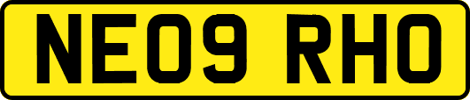 NE09RHO