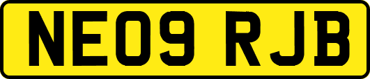 NE09RJB