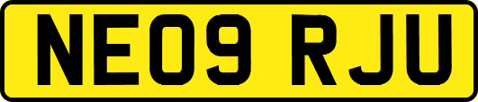 NE09RJU