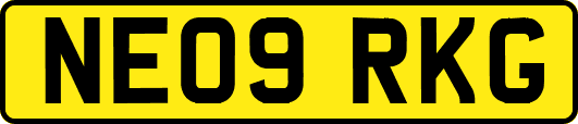 NE09RKG
