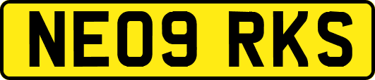NE09RKS