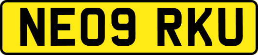 NE09RKU