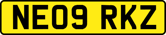 NE09RKZ