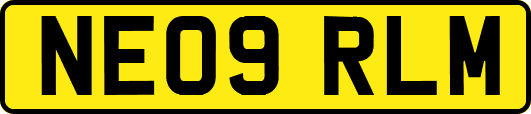 NE09RLM