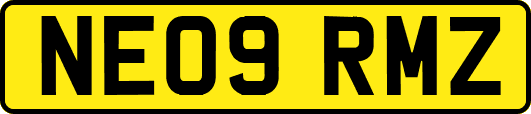 NE09RMZ