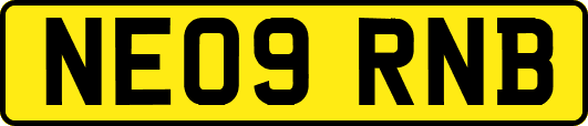 NE09RNB