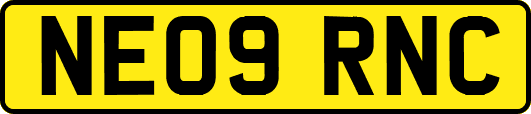 NE09RNC