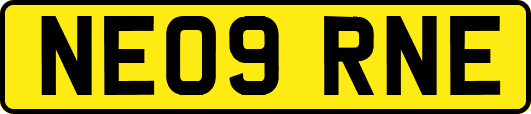 NE09RNE