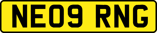 NE09RNG