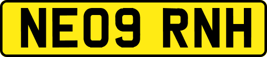 NE09RNH