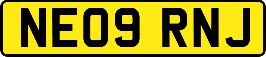 NE09RNJ