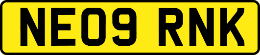 NE09RNK