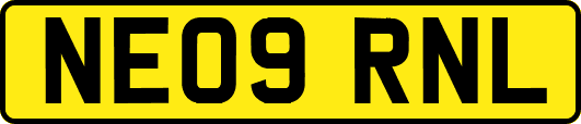 NE09RNL