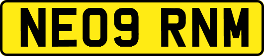 NE09RNM