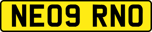 NE09RNO