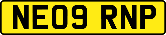 NE09RNP