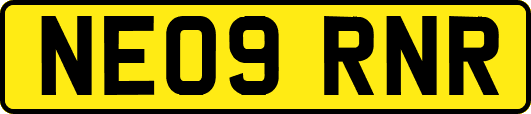 NE09RNR