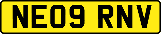 NE09RNV