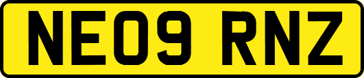 NE09RNZ