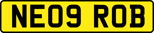 NE09ROB