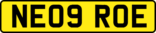 NE09ROE
