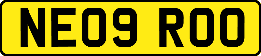 NE09ROO