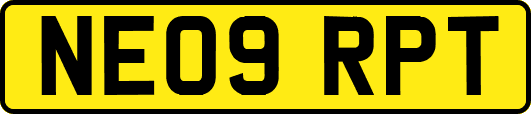 NE09RPT