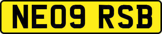NE09RSB