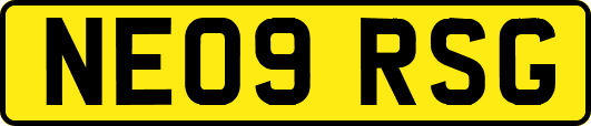 NE09RSG