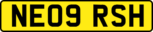 NE09RSH