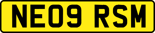 NE09RSM