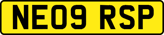 NE09RSP