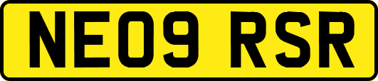 NE09RSR