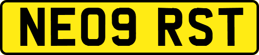 NE09RST