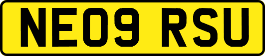 NE09RSU