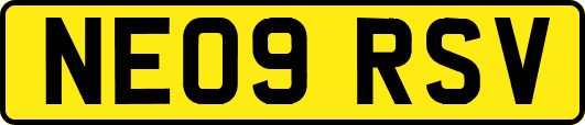 NE09RSV