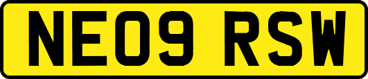 NE09RSW