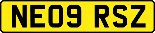 NE09RSZ