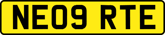 NE09RTE