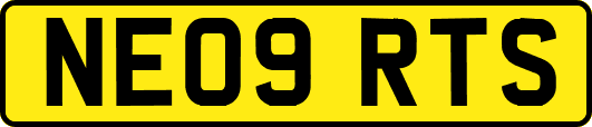 NE09RTS