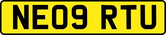 NE09RTU